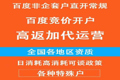 行业佼佼者：百度推广代理商的典范案例剖析